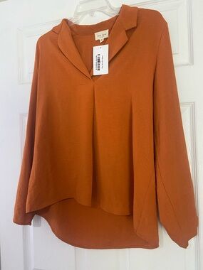 1.4.3. Story by Line Up Rust V-Neck Long-Sleeve Blouse